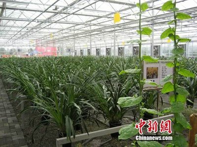 中國西南最大農產品交易所在北川投入運營_財經_騰訊網