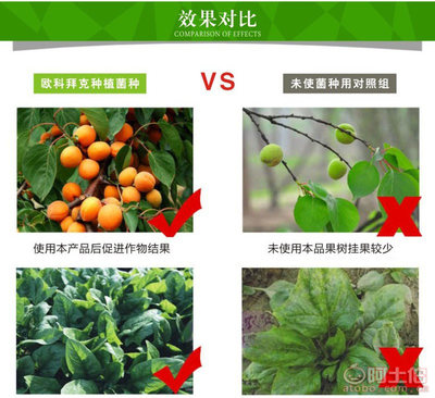 【種植EM菌種價格種植EM菌批發種植EM菌廠家