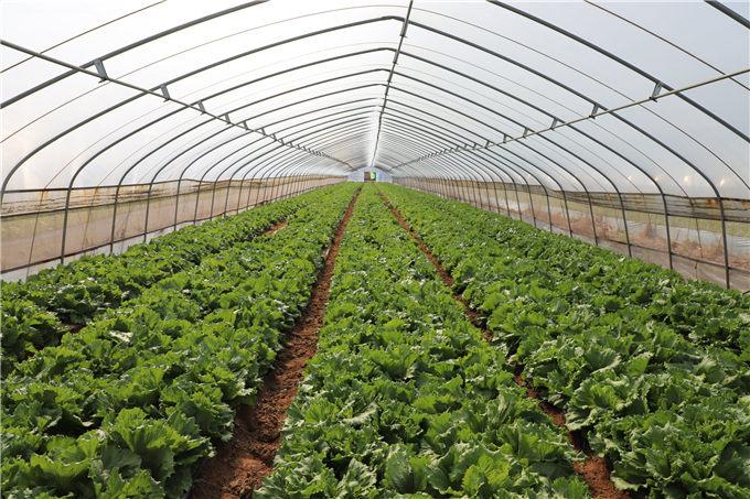 張玉璽董事長赴光山縣考察農產品種植基地