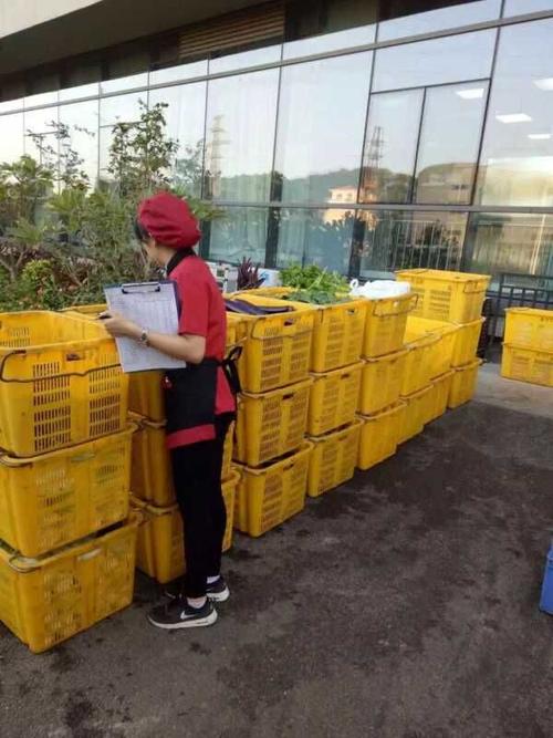 供應蔬菜配送/從化蔬菜配送—廣州市日日升農產品有限公司