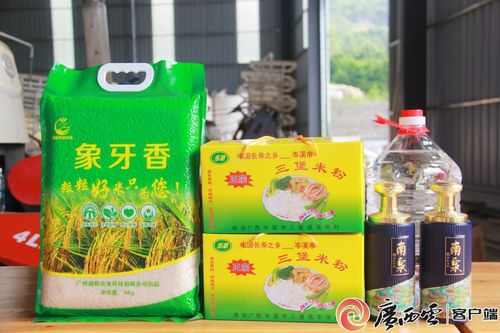 農(nóng)機(jī)助力 新農(nóng)人 圓夢(mèng) 梁勇安 農(nóng)業(yè)機(jī)械化繪就鄉(xiāng)村振興新 稻 路