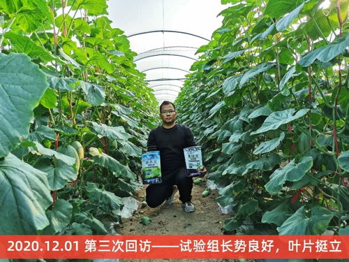 歷時(shí)4個(gè)月,海南8大種植基地4大作物最新種植實(shí)驗(yàn)報(bào)告
